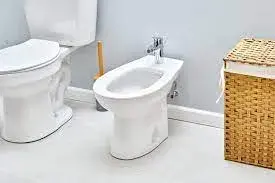 Bidet2[1]-4543358-99585.webp